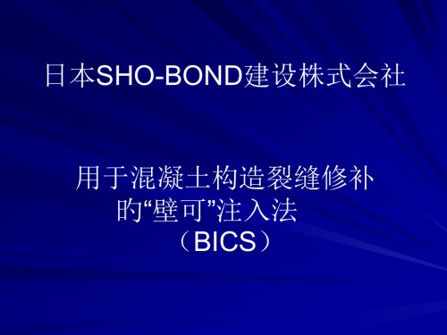 混凝土结构裂缝壁可法修补.pptx