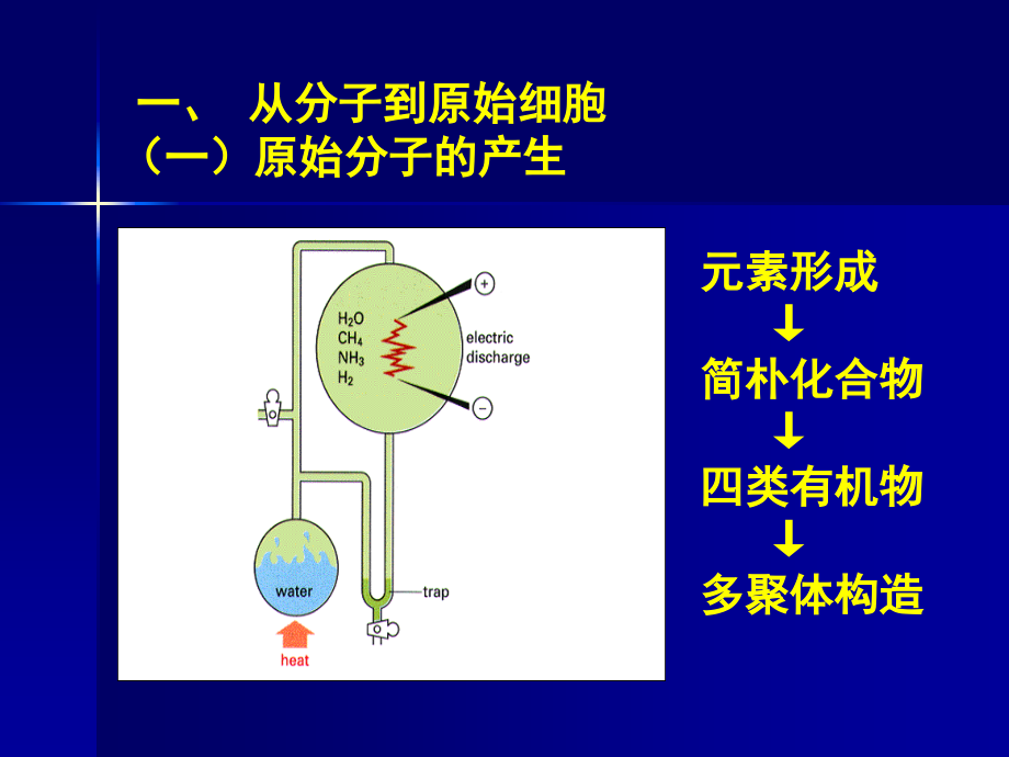 细胞的进化.pptx_第2页