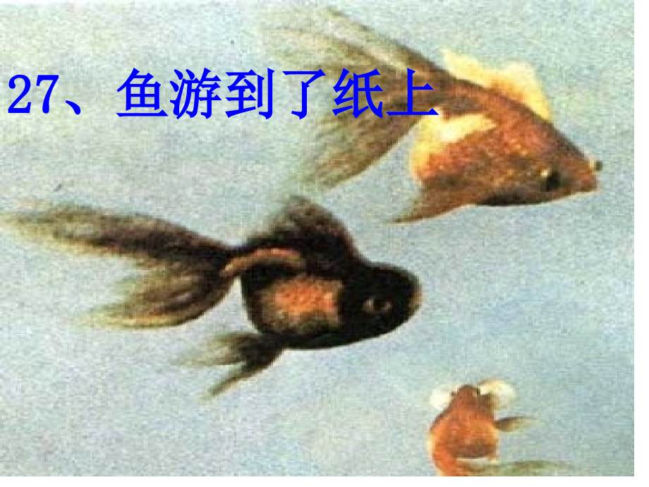 新编鱼游到了纸上专业知识.pptx_第1页