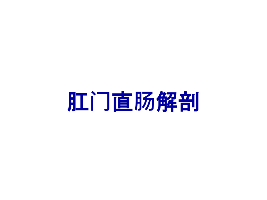 肛门直肠解剖.ppt_第1页