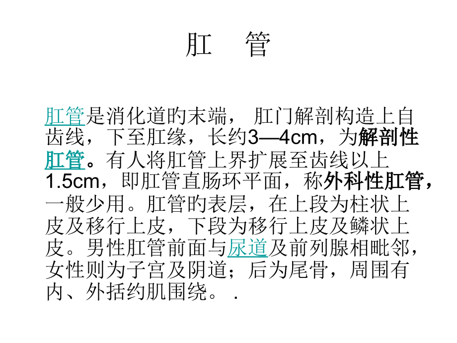肛门直肠解剖.ppt_第2页