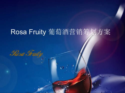 葡萄酒营销策划方案借鉴.pptx