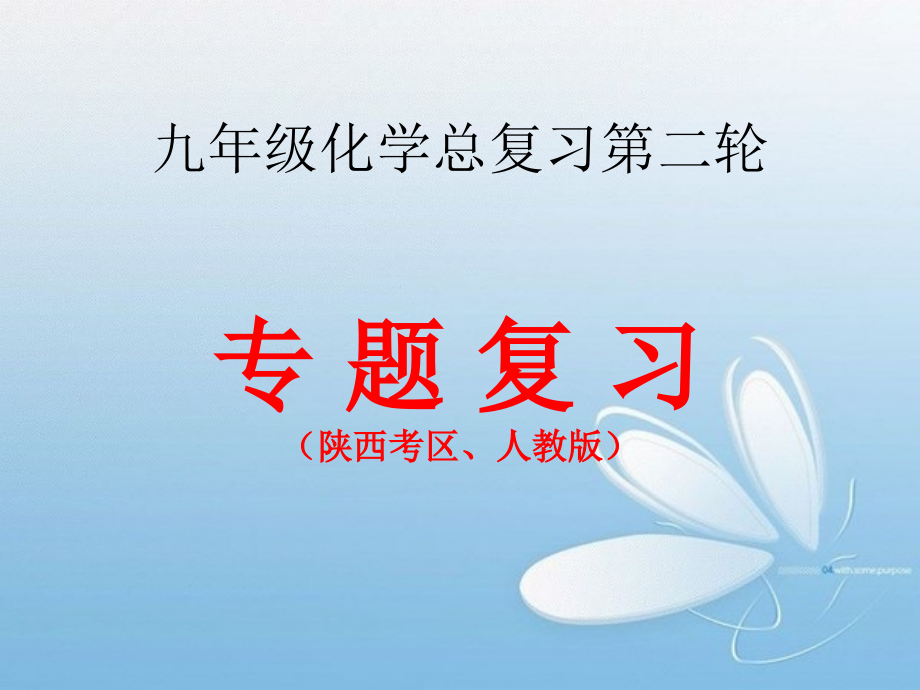 中考化学专题复习.pptx_第2页