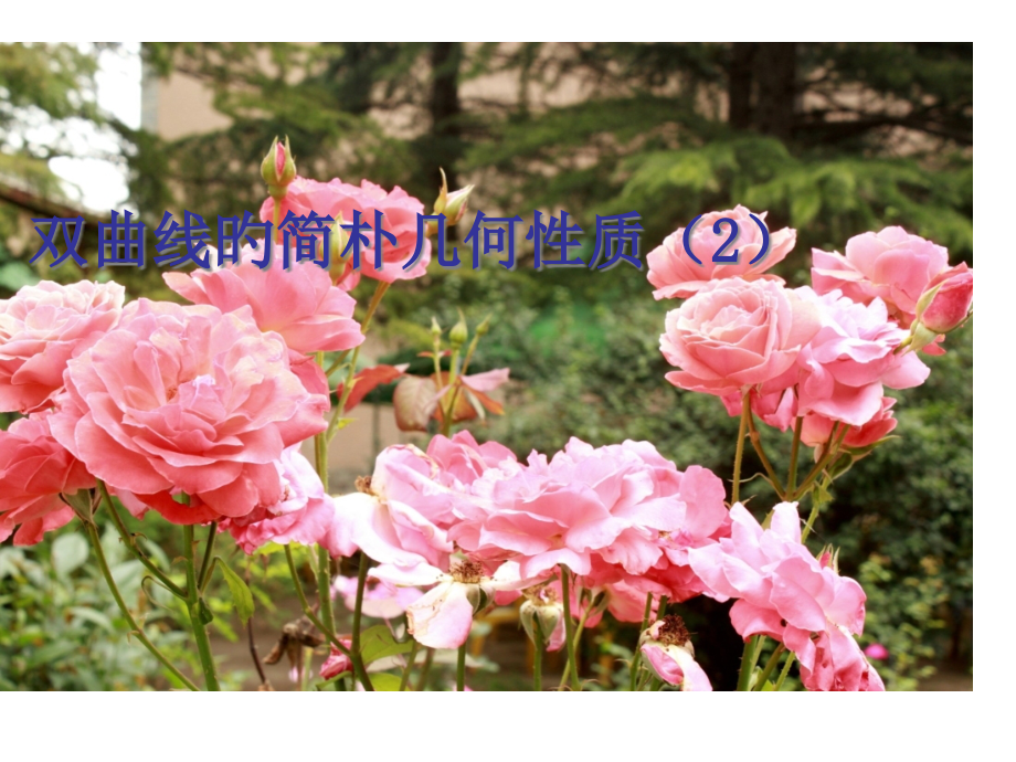 第六十六课时--2.2.2双曲线的简单几何性质.pptx_第1页