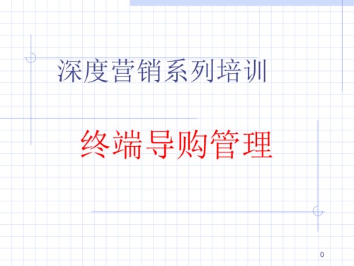 终端导购管理培训.pptx