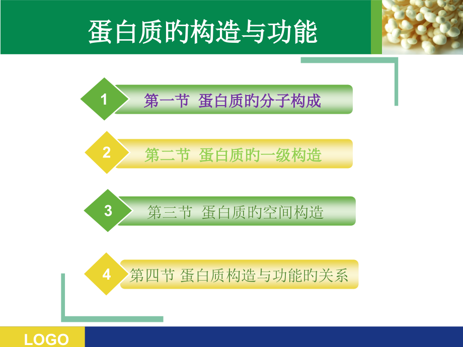 蛋白质结构和功能讲解.pptx_第1页