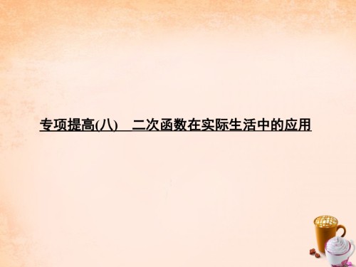 中考数学专题提升八二次函数在实际生活中的应用复习.pptx