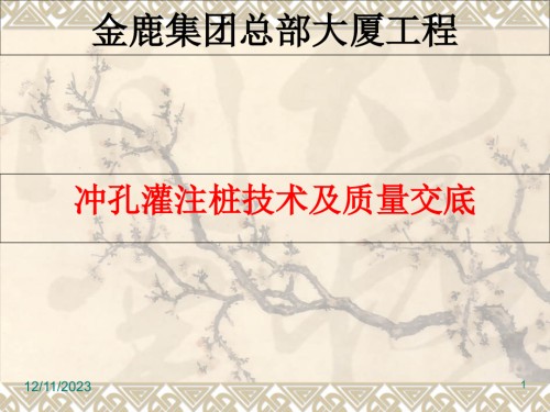 冲孔灌注桩技术交底.pptx