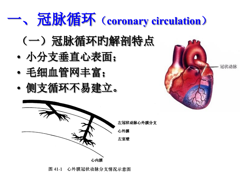 循环系统器官循环.pptx_第2页