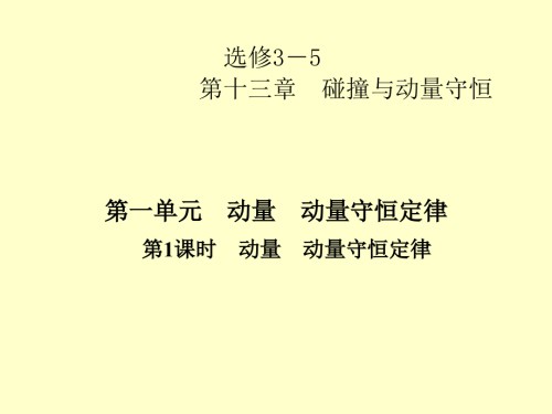 高考一轮复习优秀课件：第十三章碰撞与动量守恒-第一单元--第1课时.pptx