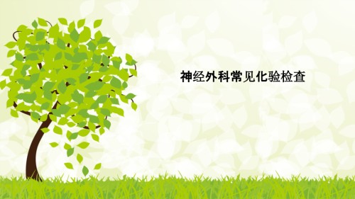 神经外科常见化验检查.pptx