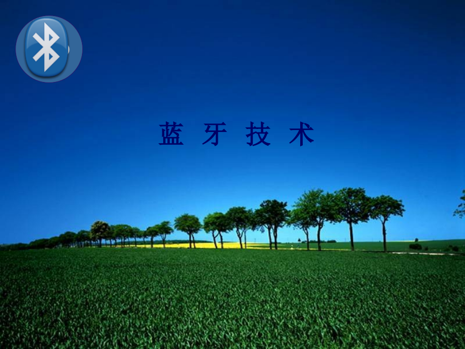 蓝牙技术.pptx_第1页