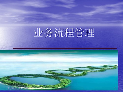 业务流程标准化管理精讲.pptx