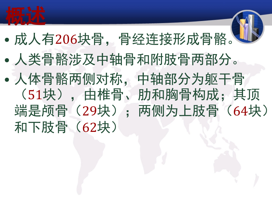 骨科解剖专业知识讲座.ppt_第2页