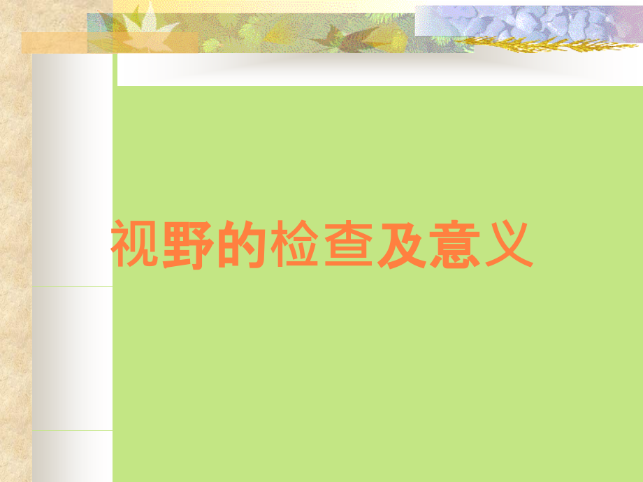 视野的检查及意义.ppt_第1页