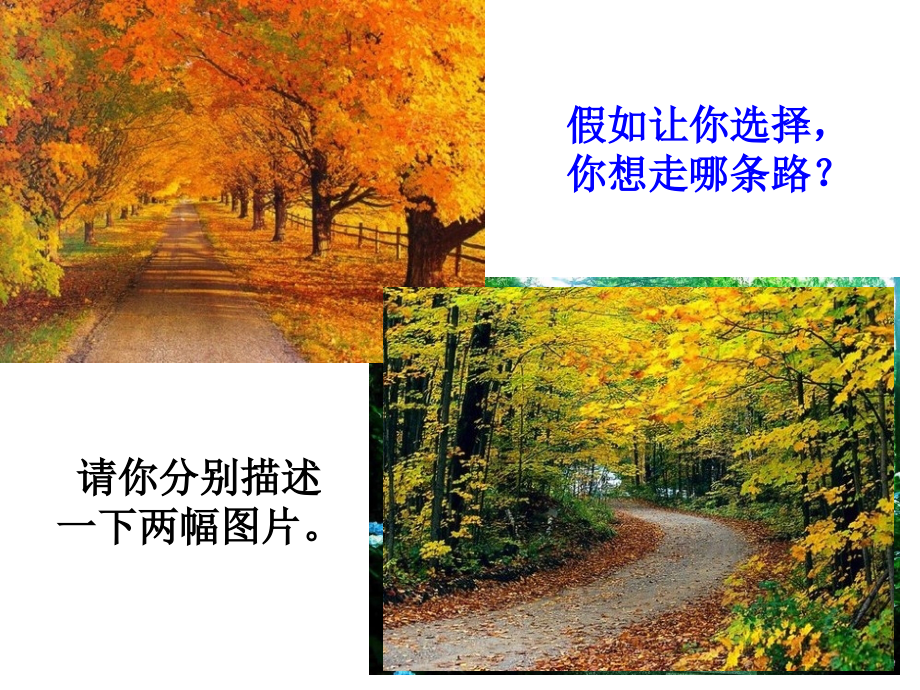 未选择的路教学.pptx_第2页