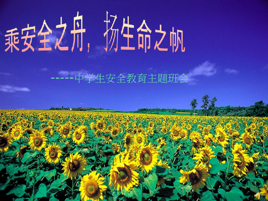乘安全之舟-扬生命之帆——中学生安全教育主题班会.pptx_第1页