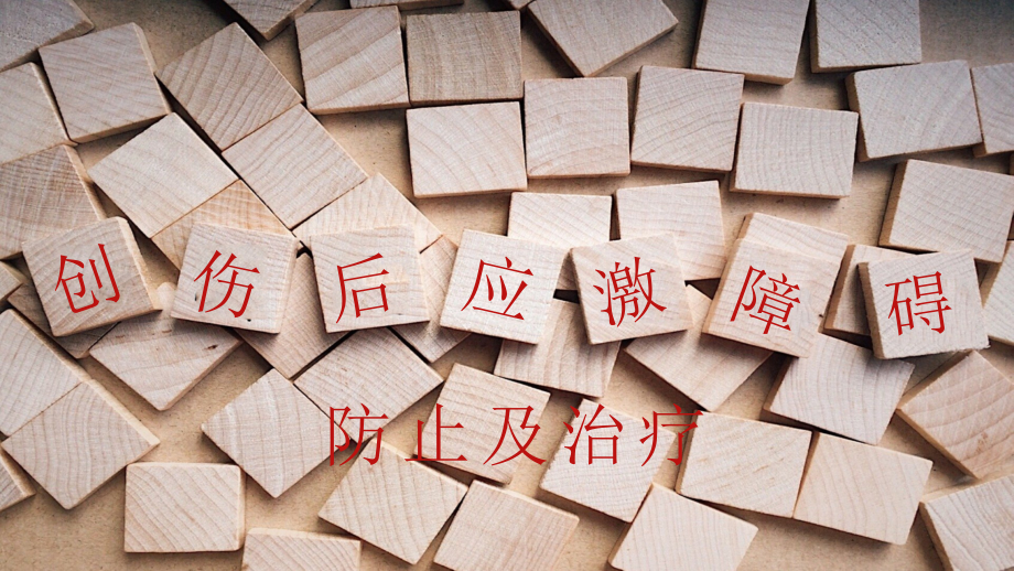 创伤性应激障碍主题教育课件.pptx_第2页