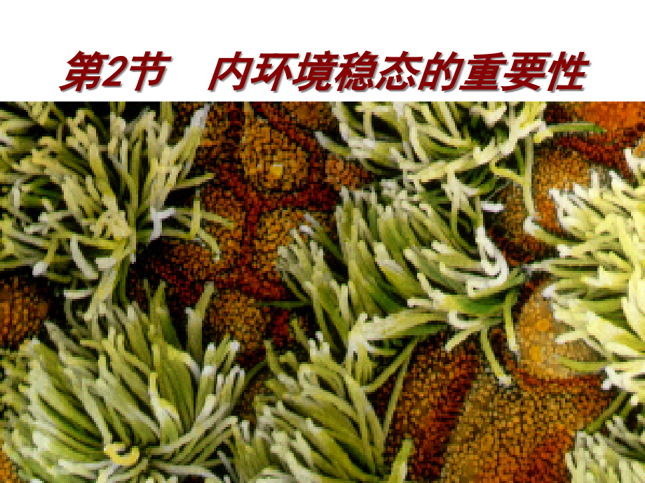 内环境稳态的重要性优质说课稿.pptx_第2页