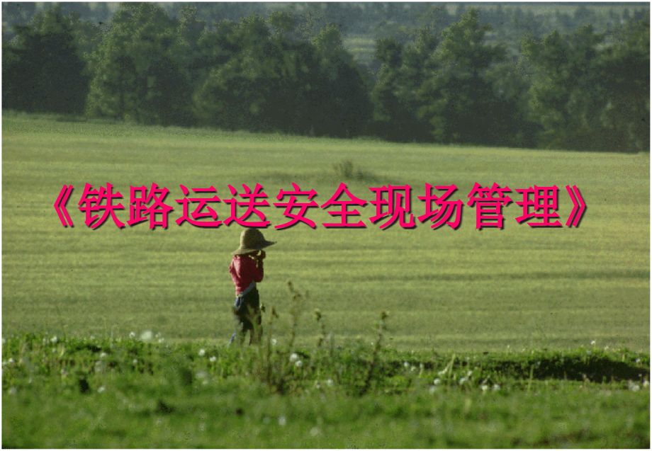 铁路运输安全现场管理.pptx_第1页