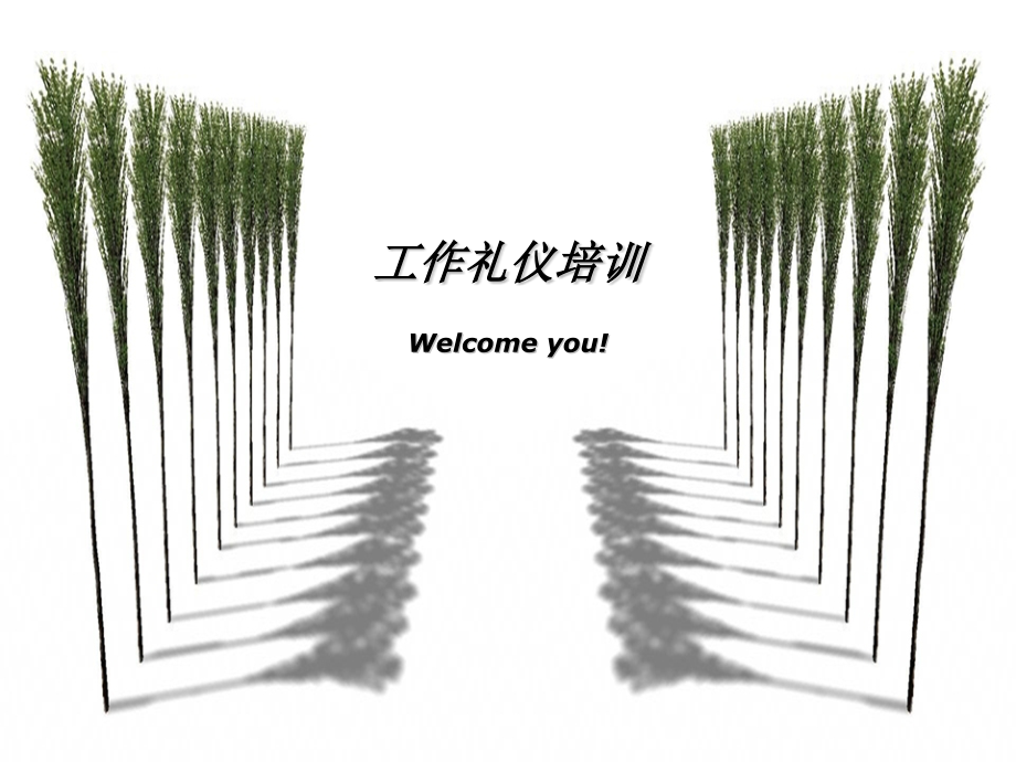 礼仪大全—工作礼仪课件.pptx_第1页