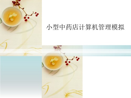 小型中药店计算机管理模拟专家讲座培训课件.ppt