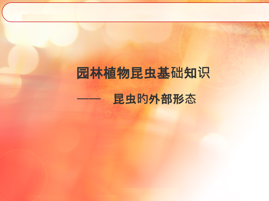 昆虫结构课件.pptx_第1页