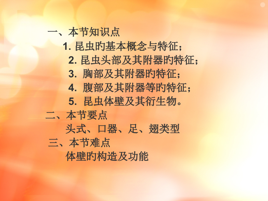 昆虫结构课件.pptx_第2页