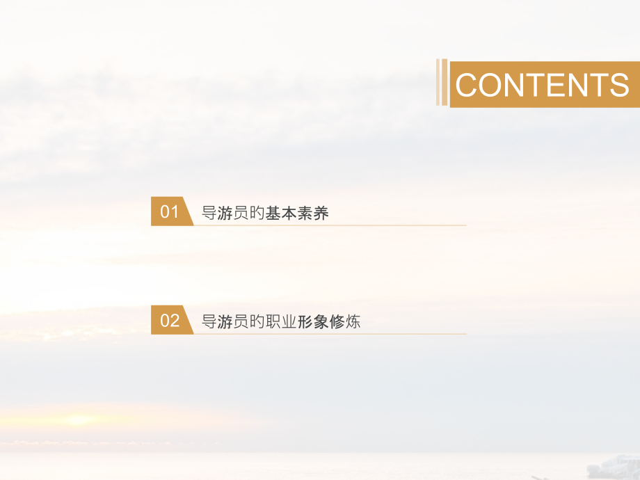 导游员的基本素养和职业形象.pptx_第2页