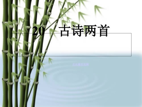 古诗《石灰吟》《竹石》等.pptx