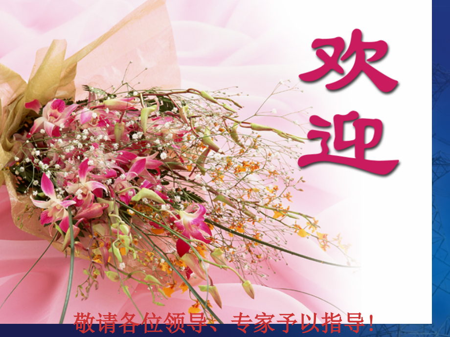 NS变电站综合自动化系统.pptx_第1页