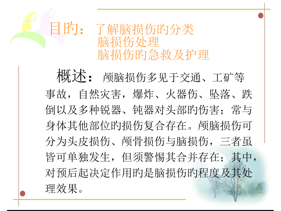 颅脑损伤的急救与护理.ppt_第2页