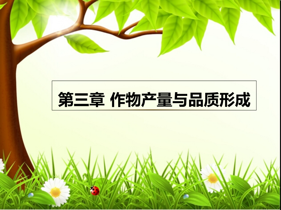 作物产量和品质形成.pptx_第1页