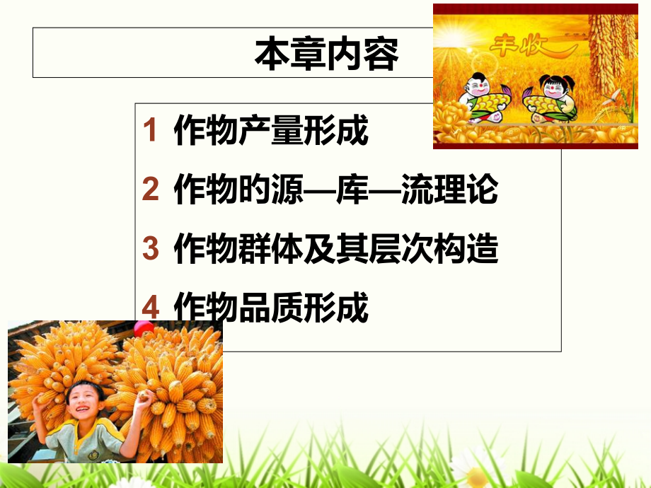 作物产量和品质形成.pptx_第2页
