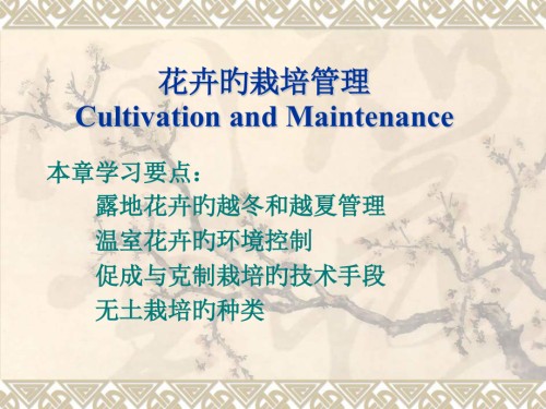 第五章花卉的栽培管理.pptx
