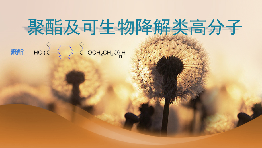 聚酯及可生物降解类高分子.pptx_第1页