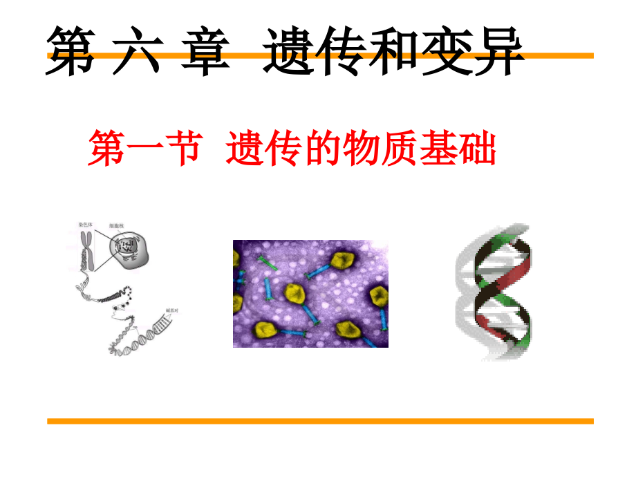 DNA是主要遗传物质示范.pptx_第1页
