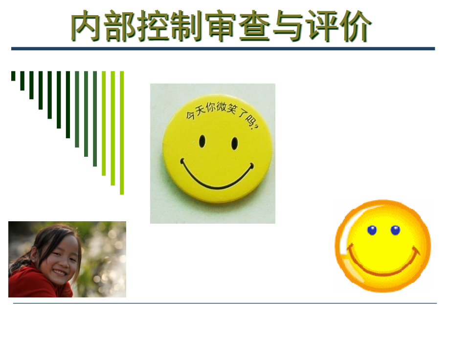 内部控制五专业知识课件.pptx_第1页