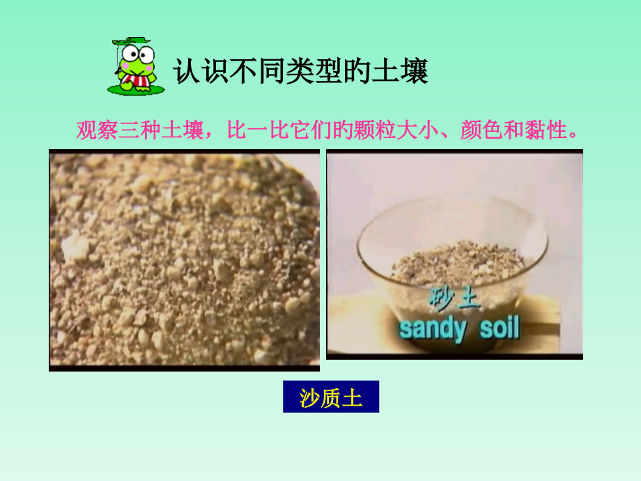 土壤和植物的生长.pptx_第2页