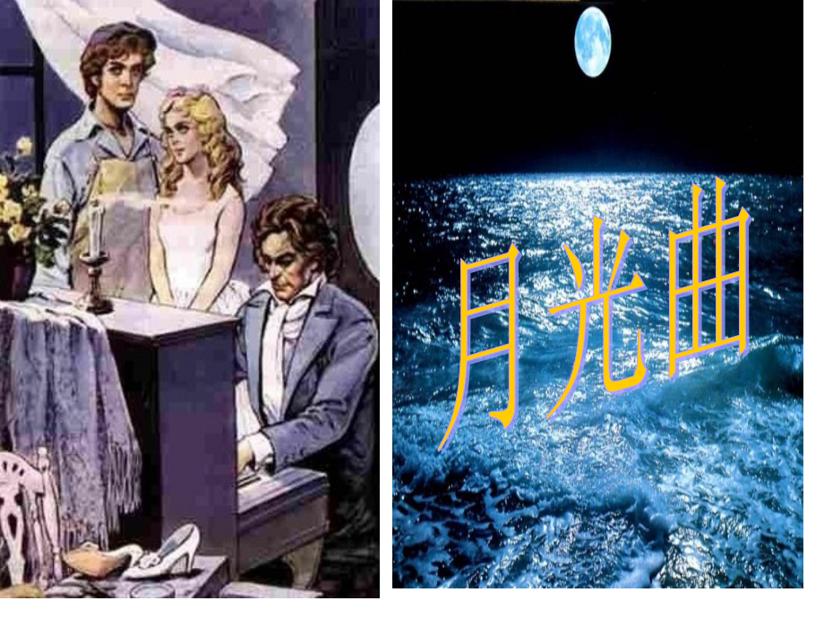 月光曲专业知识讲座.pptx_第1页
