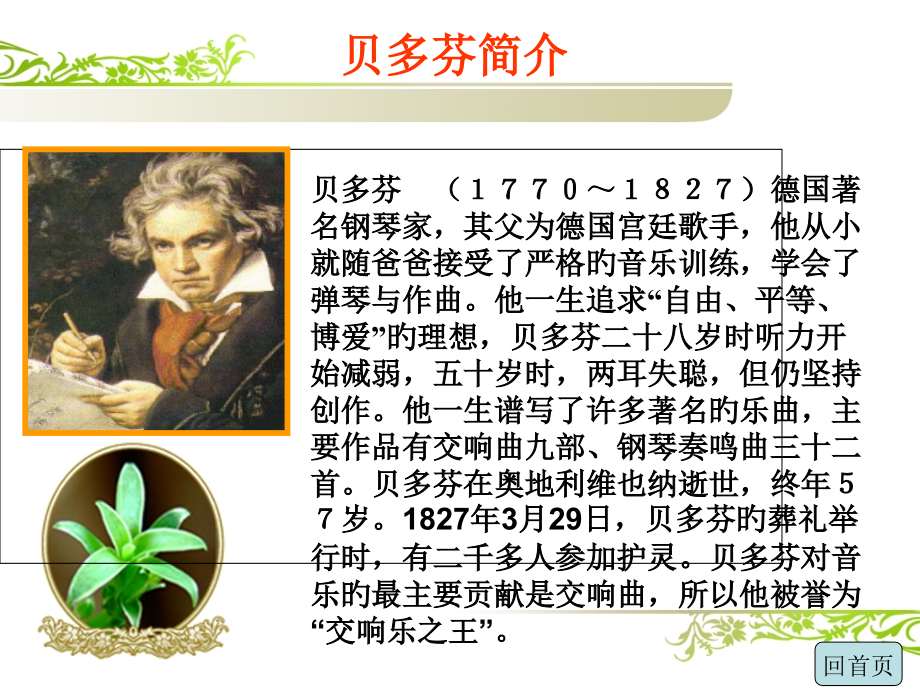 月光曲专业知识讲座.pptx_第2页