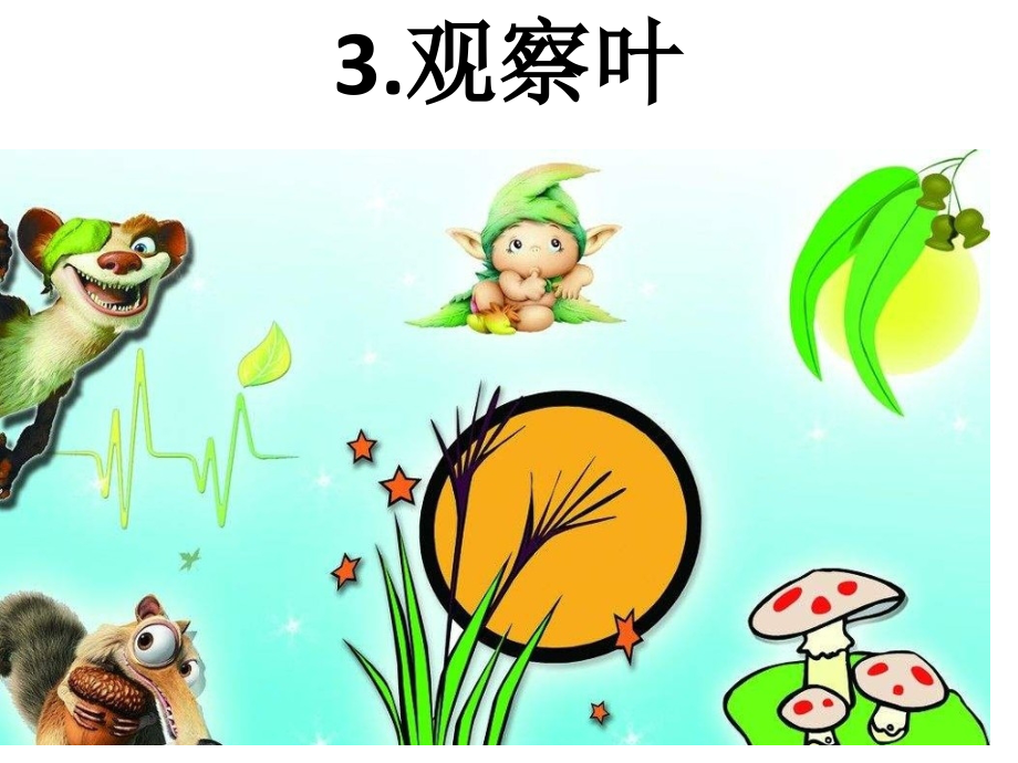 观察叶专题知识.pptx_第1页