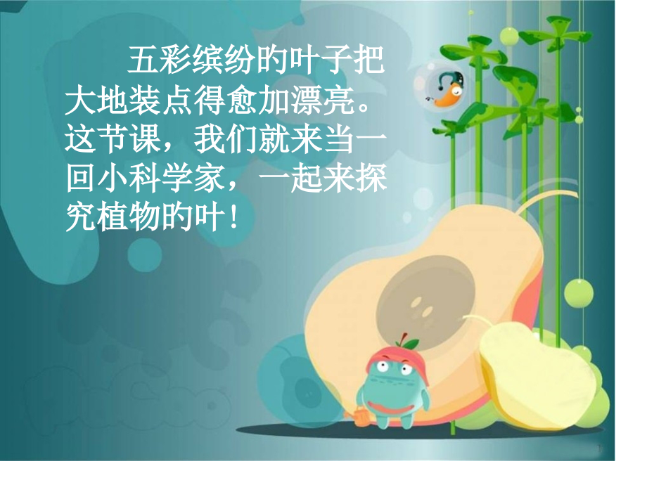 观察叶专题知识.pptx_第2页