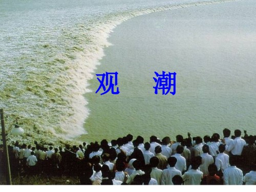 观潮专业知识讲座.pptx