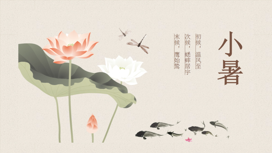二十四节气小暑.pptx_第1页