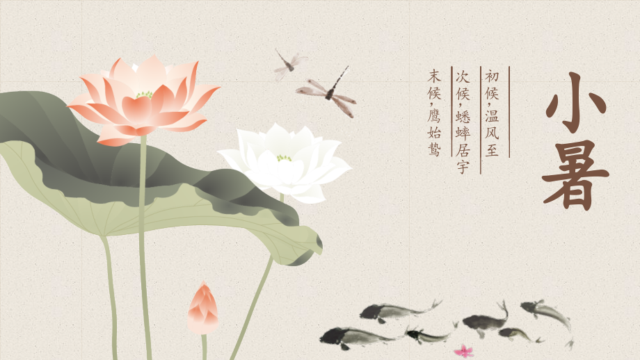 二十四节气小暑.pptx_第2页