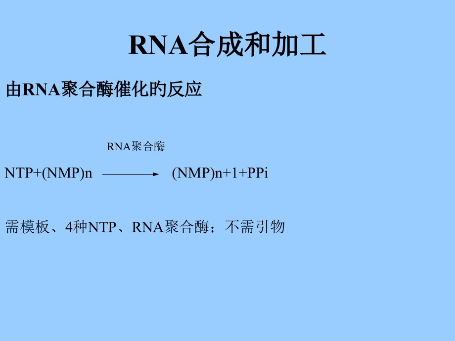 转录和加工I.pptx_第1页