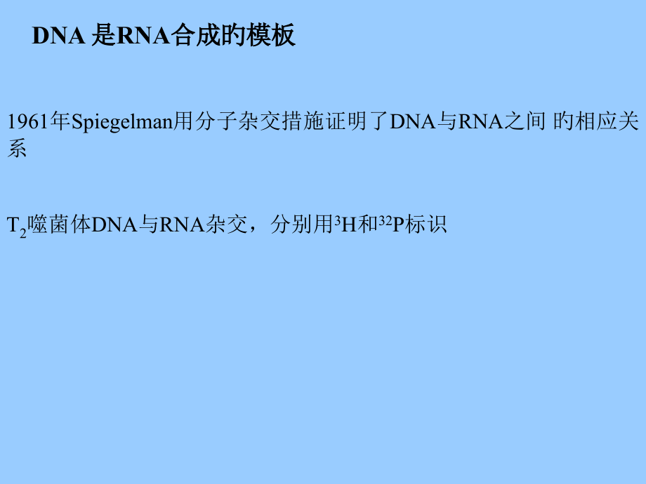 转录和加工I.pptx_第2页