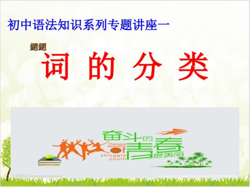 语法知识系列专题一词的分类中考语文复习专题.ppt