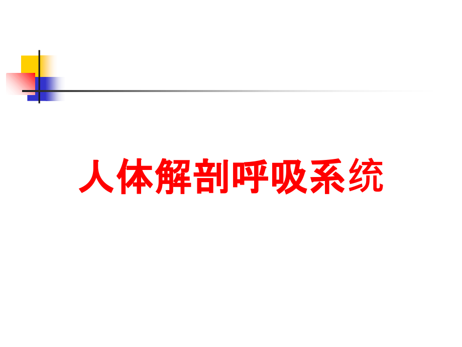 人体解剖呼吸系统.ppt_第1页